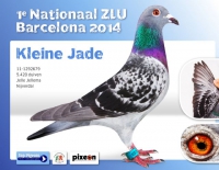 17-1860314 Jelle Jellema hen, dtr Barcelonaman.