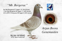 21-1517317 ARJAN BEENS INBRED OLYMPIC MISS GIJSJE!!!