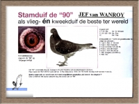 22-8068268  JEF VAN WANROY HEN: