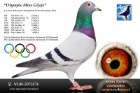 2019-1272881 ORIGINAL JAN GROOTOONK COCK,LINES OLYMPIC MISS GIJSJE