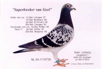 2019-1272881 ORIGINAL JAN GROOTOONK COCK,LINES OLYMPIC MISS GIJSJE