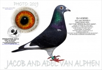 20-1734193  JEF VAN WANROY hen: