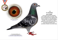 24-6066256 JELLE JELLEMA HEN