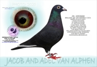 23-9589247  JEF VAN WANROY HEN