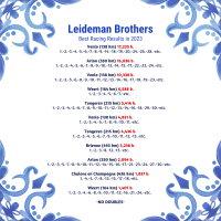 24-8076606 100 % GEBR. A & B LEIDEMAN HEN