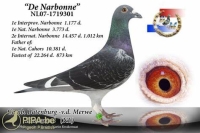 21-4775758 BATENBURGVDMERWE SUPER HEN