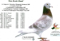 19-1045793 JAN BULLENS/RED BULLENS/DEN ROOIE DUUK HEN  