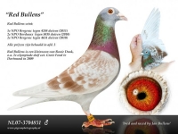 19-1045793 JAN BULLENS/RED BULLENS/DEN ROOIE DUUK HEN  