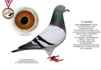 25-1550298 LEO HEREMANS HEN