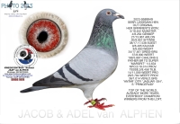 25-1551920  100% GEBR. A & B LEIDEMAN