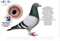 25-1550923 WILLEM DE BRUIJN/GERARD KOOPMAN HEN
