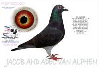  25-1551926  JEF VAN WANROY COCK