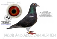 25-1550143  JEF VAN WANROY COCK 
