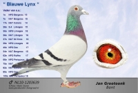 22-8068122  ARJAN BEENS/ JAN GROOTOONK DOFFER