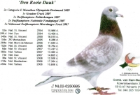 19-3934333 JAN BULLENS/RED BULLENS COCK