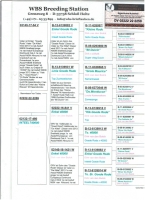 Dv 2222-22-2259 DIRK VAN DE BULCK COCK