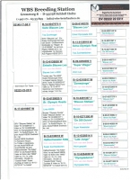 Dv 2222-22-2311 100% DIRK VAN DE BULCK COCK