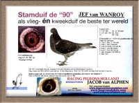 24-8240727  JEF VAN WANROY HEN