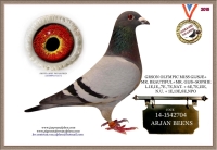 23-9136205  ARJAN BEENS/JELLE JELLEMA HEN