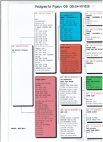 24-V01626. GBR. LEIDEMAN X&nbsp; DIRK VAN DE BULCK COCK