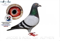 23-9592034 A & B LEIDEMAN COCK