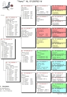 GB 20-26005."PRINCE JAMES" GRSON "HARRY' FROM HOOYMANS, COCK