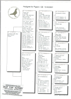 19-N33501 Top Jelle Jellema hen