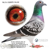 19-1261575 JELLE JELLEMA HEN X NATIONAL TOP