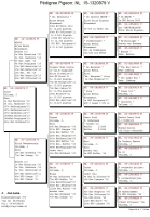 19-1261575 JELLE JELLEMA HEN X NATIONAL TOP