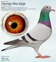 23-9589247 JELLE JELLEMA HEN