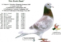 19-1045884 JAN BULLENS/RED BULLENS COCK