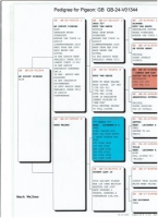 GB2024-V01344&nbsp;GEBR. LEIDEMAN/ RUDY VAN REETH COCK