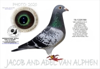 20-1063812&nbsp; JAN AARDEN, THE GOLD EYES, NATIONAL TOP HEN