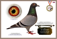 21-1488518 ARJAN BEENS/JELLE JELLEMA COCK