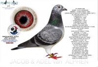 25-1553085&nbsp; A & B LEIDEMAN HEN