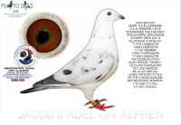 25-1550126 A & B LEIDEMAN/G & &nbsp;S VERKERK COCK&nbsp;