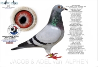 25-1550126 A & B LEIDEMAN/G & &nbsp;S VERKERK COCK&nbsp;