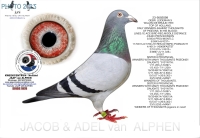 25-1550959&nbsp; A & B LEIDEMAN/ WILLEM DE BRUIJN/