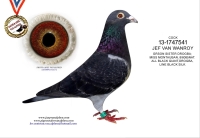 25-1550979&nbsp; JEF VAN WANROY COCK&nbsp;