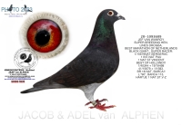 25-1550979&nbsp; JEF VAN WANROY COCK&nbsp;