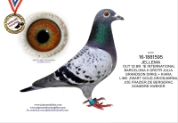 25-1550992 JELLE JELLEMA HEN