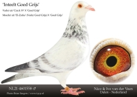 25-1550943 A & B LEIDEMAN COCK