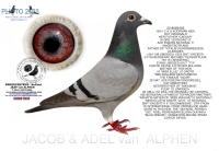 26-8351140 A & B LEIDEMAN/ GERARD KOOPMAN/VERKERK & ZN HEN