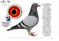26-8351140 A & B LEIDEMAN/ GERARD KOOPMAN/VERKERK & ZN HEN