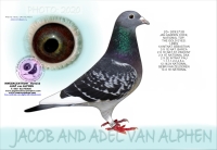 &nbsp;26-8348784 JAN AARDEN NATIONAL TOP HEN