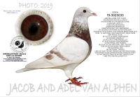 26-8348826 JAN BULLENS X NOEL PEIREN HEN